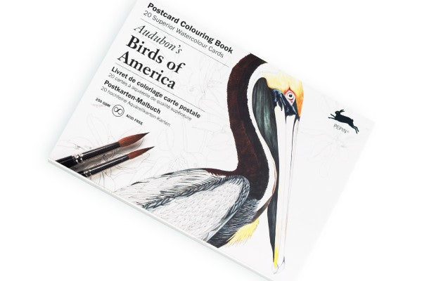 PEPIN 6280 Birds of America  – Watercolor Postcards, 10.5×15cm, 20 Design