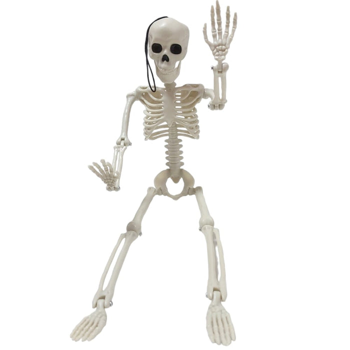 هيكل عظمي بشري بلاستيكي واقعي لكامل الجسم 1120، أبيض ,35 سم