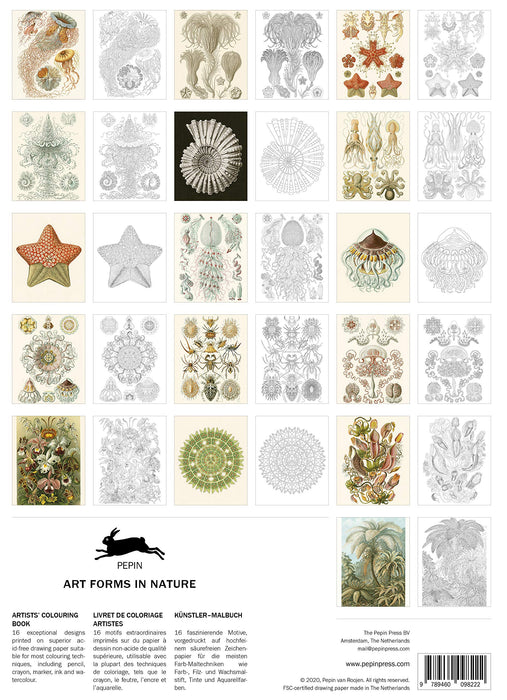 كتاب تلوين تصاميم الفن في الطبيعة -8512 – 24 تصميم – مقاسA3 من بيبين